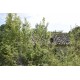 Properties for Sale_FARMHOUSE TO BE RESTORED FOR SALE IN MONTEFIORE DELL'ASO, IMMERSED IN THE ROLLING HILLS OF THE MARCHE , in the Marche region of Italy in Le Marche_15